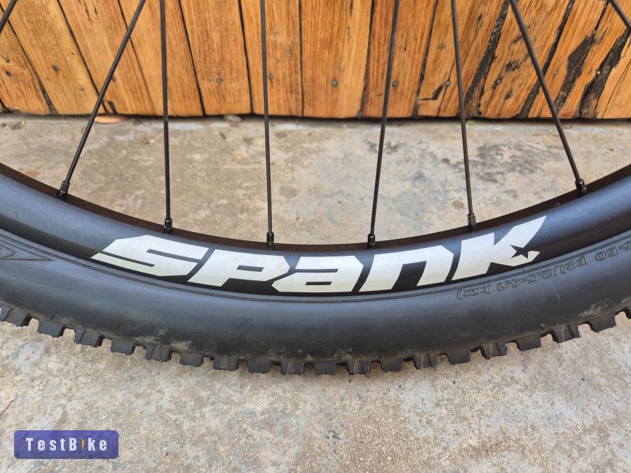 Oozy trail 295/dt swiss 350 15x110 IS