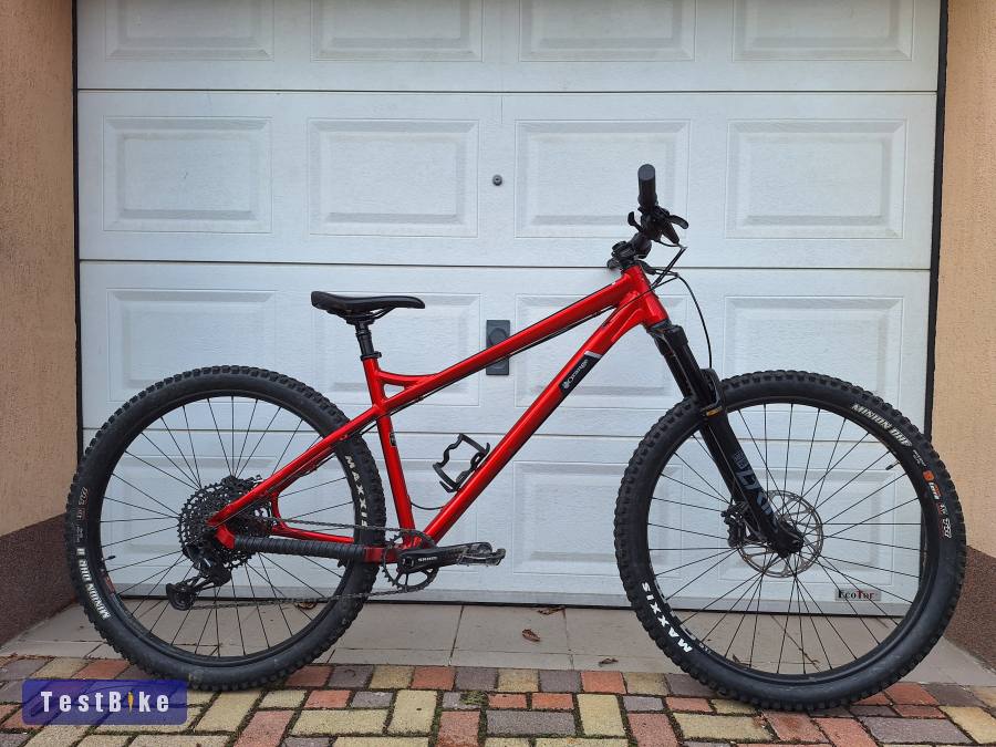 Orange Crush 29 Pro xl 2022