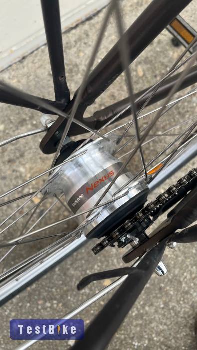 Pegasus 28" aluvázas bicaj 7s Shimano Nexus agyváltó agydina