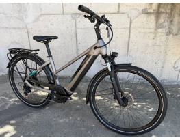 Pegasus Evo CX - Bosch CX Smart / 625Wh