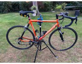 Pinarello, Campagnolo Record 10