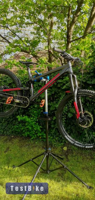 Propain Spindrift Pro 10 "L"