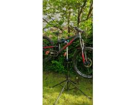 Propain Spindrift Pro 10 "L"