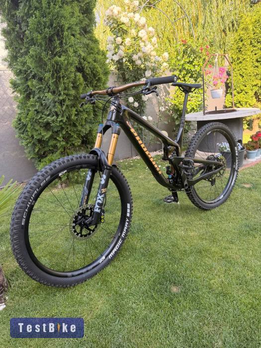 Propain Tyee cf L 29”  eladó- csere