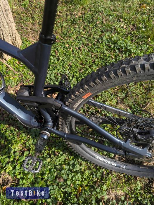 Radon Skeen Trail 29" L Custom