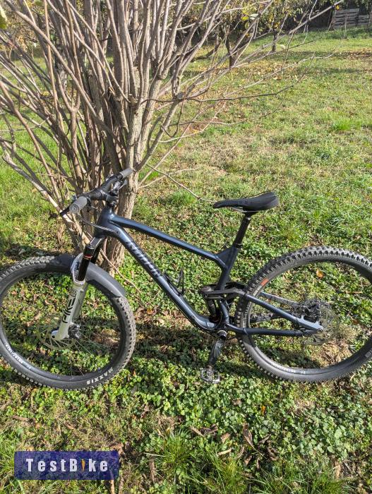 Radon Skeen Trail 29" L Custom