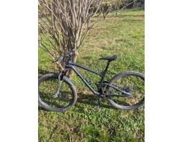 Radon Skeen Trail 29" L Custom