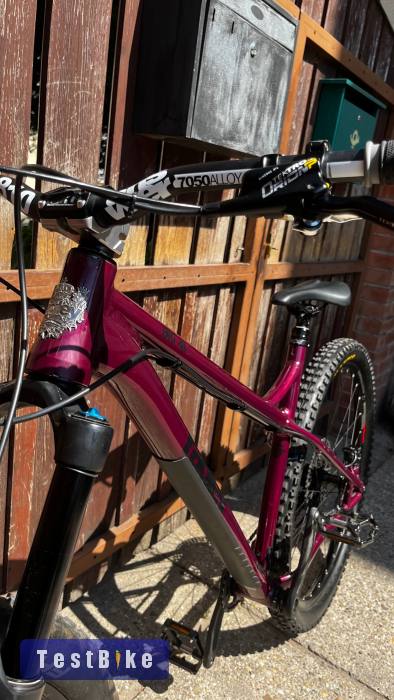 Ragley Big AL 29