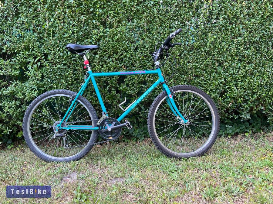 Retro Schwinn Woodlands 