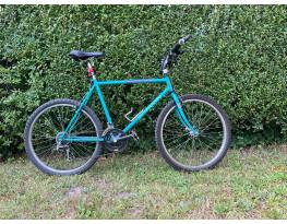 retro Schwinn Woodlands 