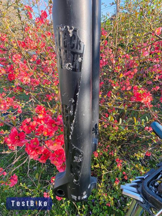 Rock Shox Sid Brain 29"