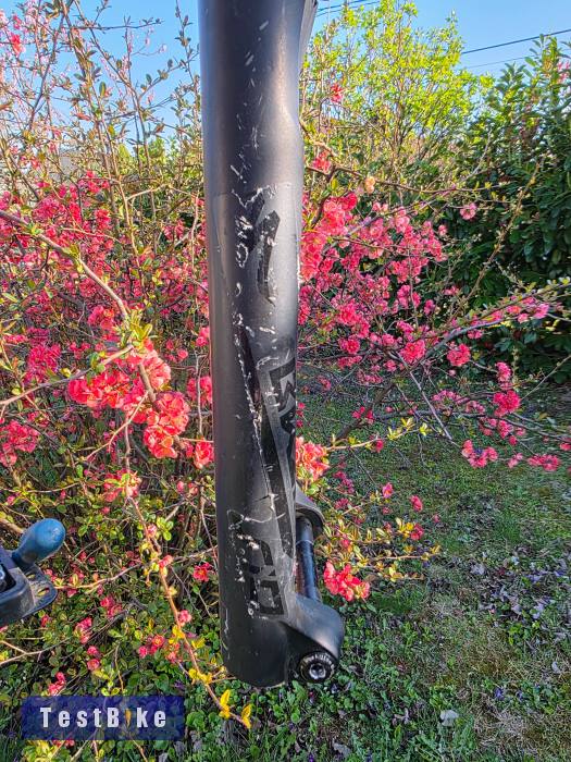 Rock Shox Sid Brain 29"