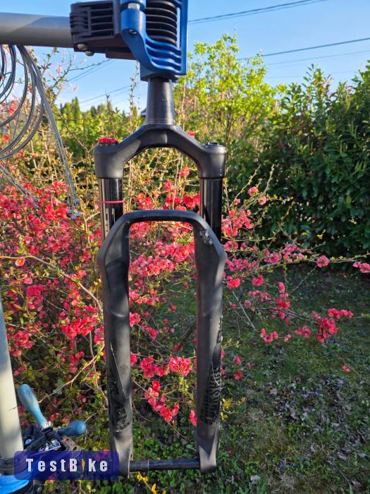 Rock Shox Sid Brain 29"