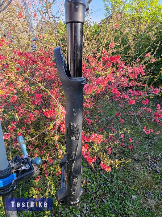 Rock Shox Sid Brain 29"