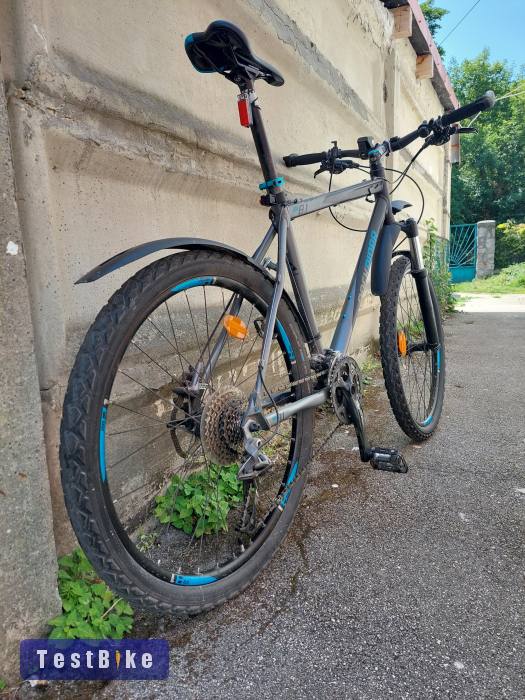 RockRider 8.1 (2012) XL