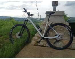 Rockrider AM 100