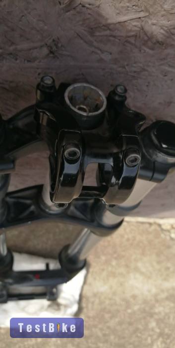 RockShox Domain Coil Dual Crown 2012