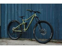 Rose Root Miller 2 2023 29" 