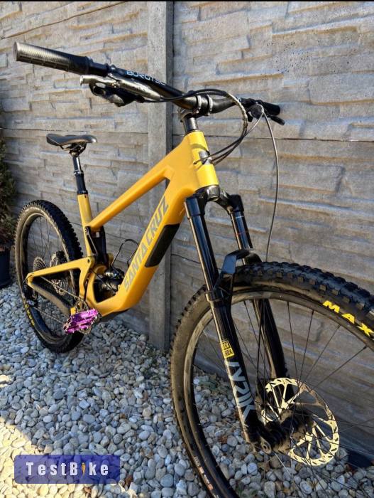 Santa Cruz Bronson