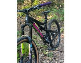 Santa Cruz Bronson C