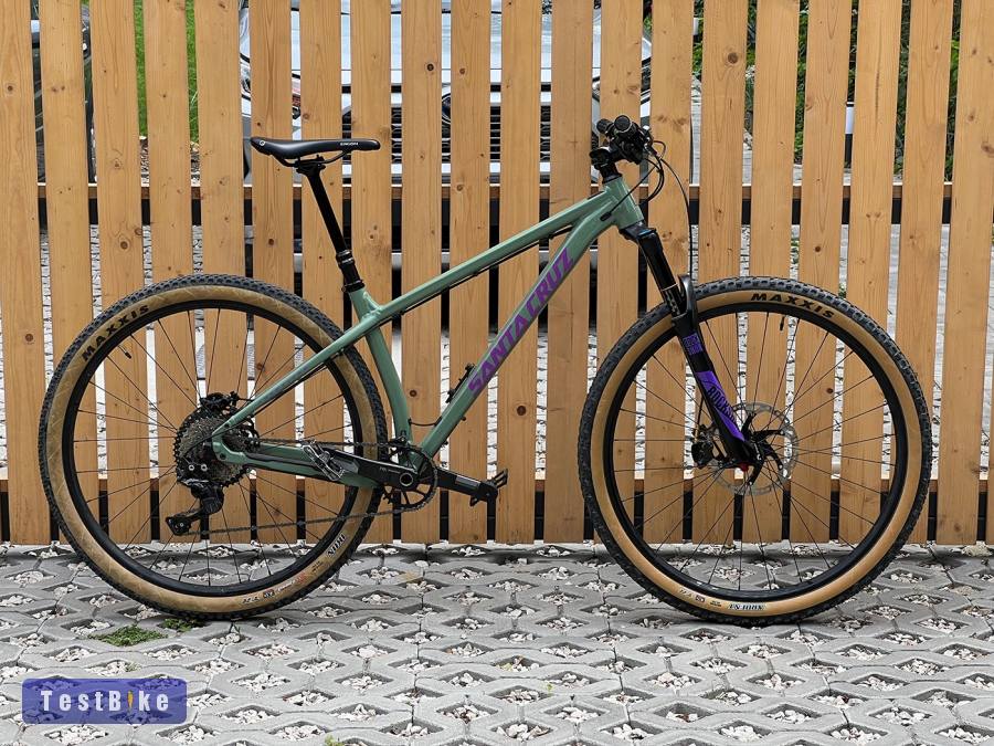 Santa Cruz Chameleon