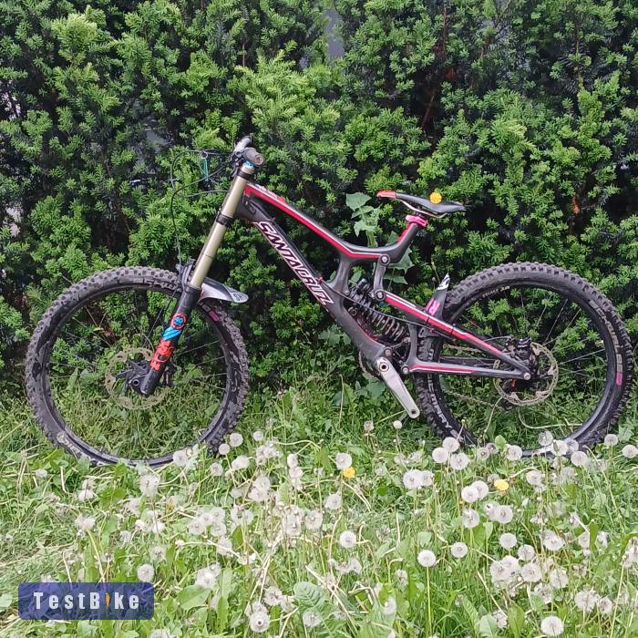 Santa Cruz V10 