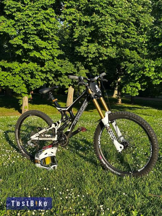 Santa Cruz v10
