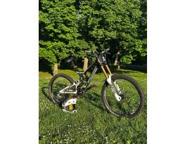 Santa Cruz v10