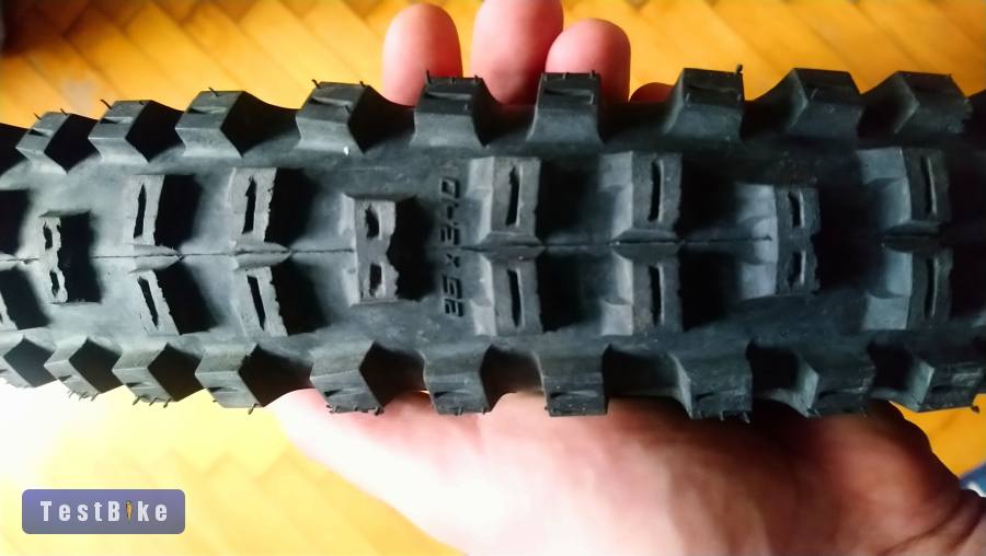 Schwalbe Big Betty