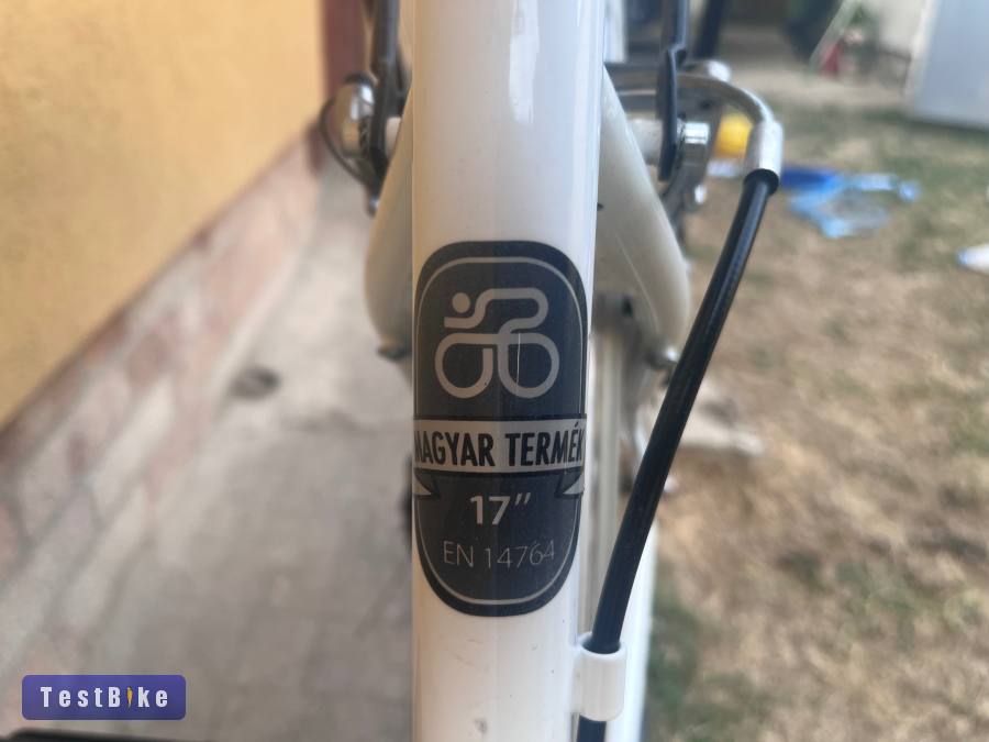 Schwinn Csepel Landrider