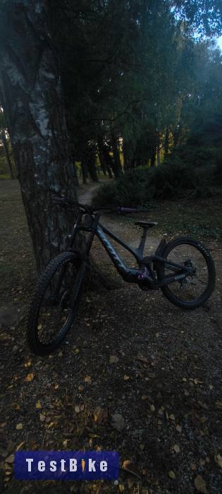 Scott Gambler 910 2026