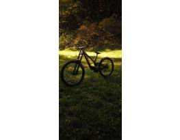 Scott Gambler 910 2026