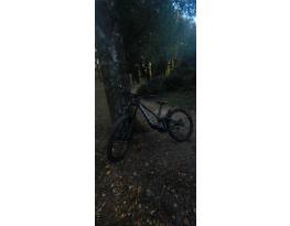 Scott Gambler 910 2026