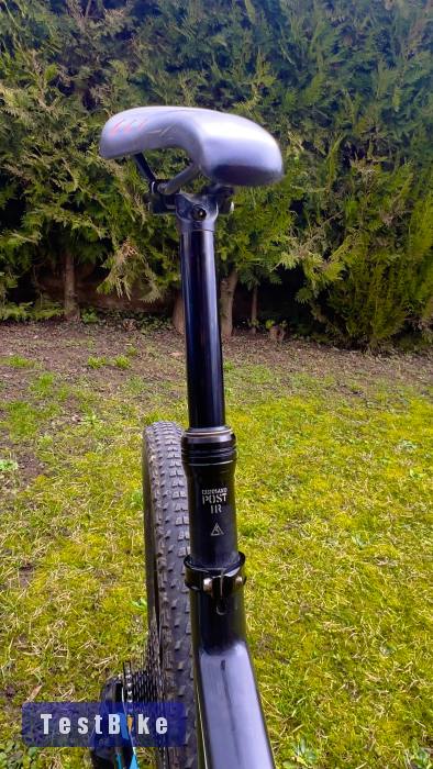 Specialized Camber Comp  29
