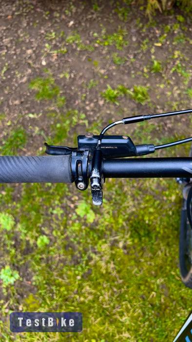Specialized Camber Comp  29