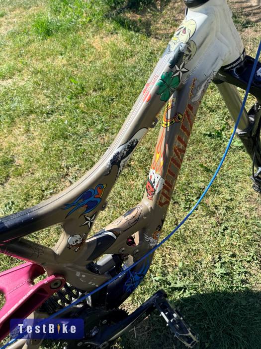 Specialized Demo 7 tattoo