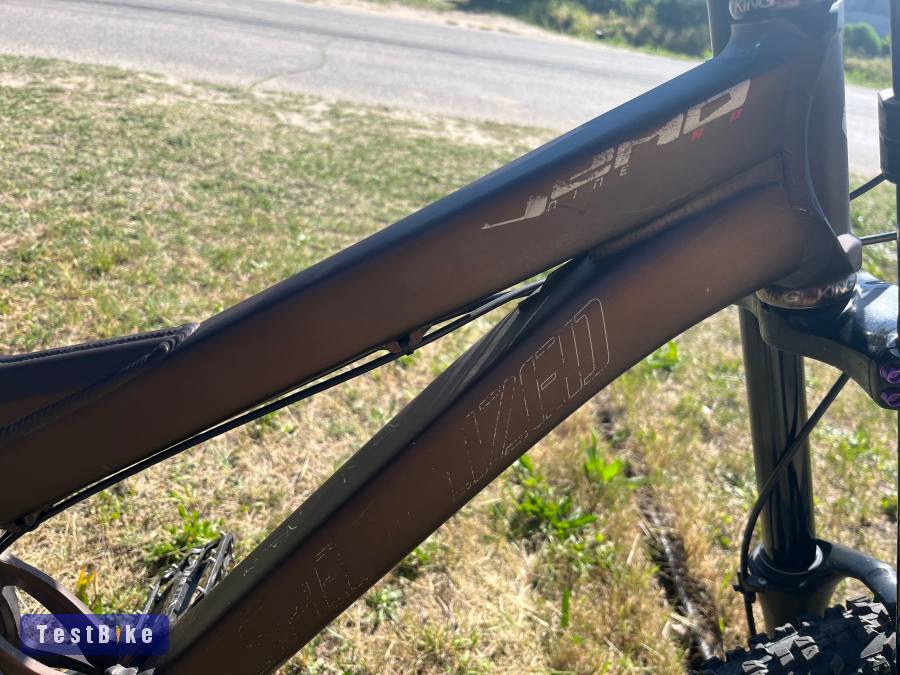 Specialized Demo 9 