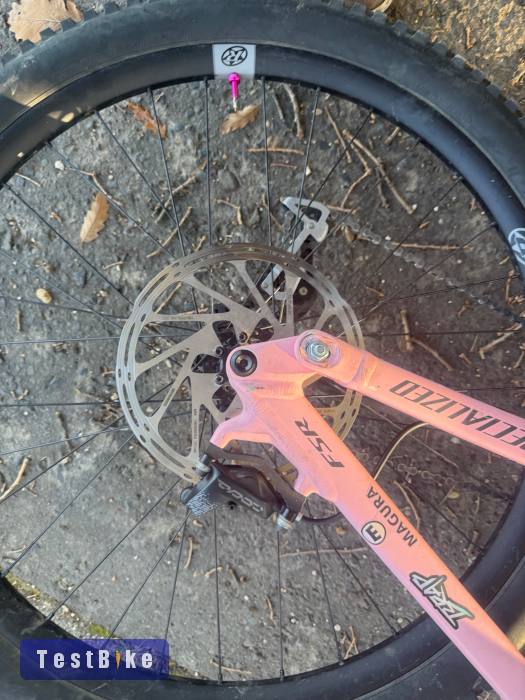 Specialized Demo Expert 2024