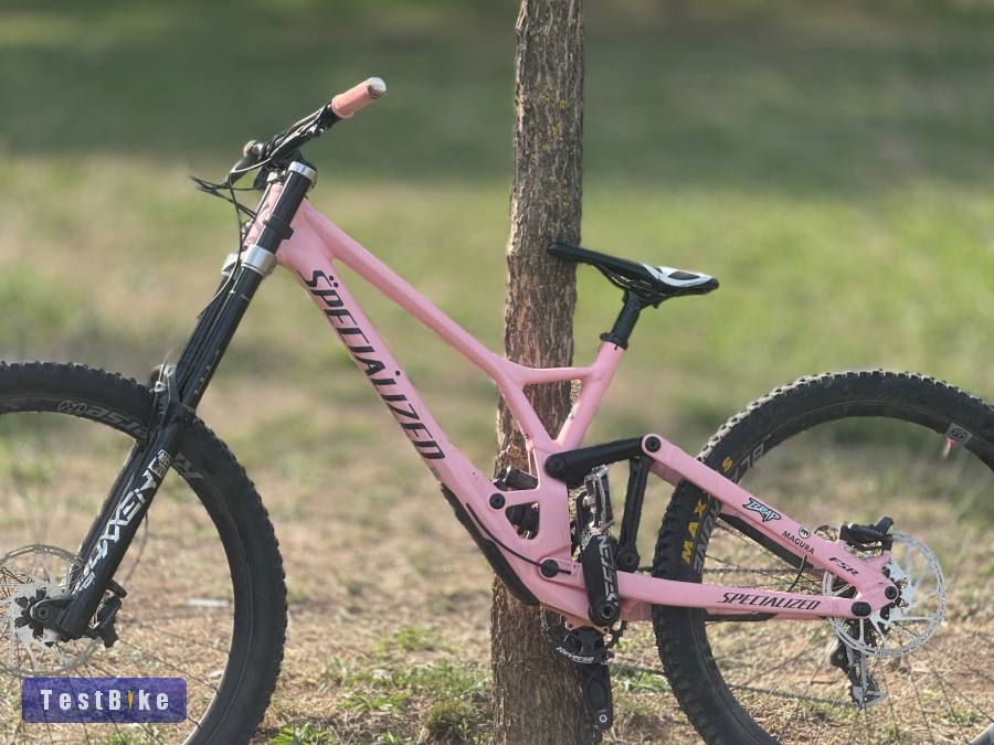 Specialized Demo Expert 2024