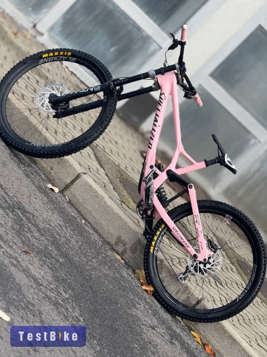 Specialized Demo Expert 2024