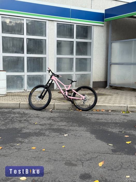 Specialized Demo Expert 2024