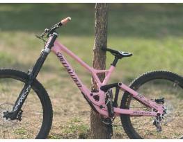 Specialized Demo Expert 2024