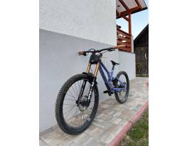 Specialized demo race