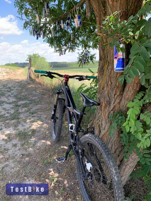 Specialized Enduro Comp