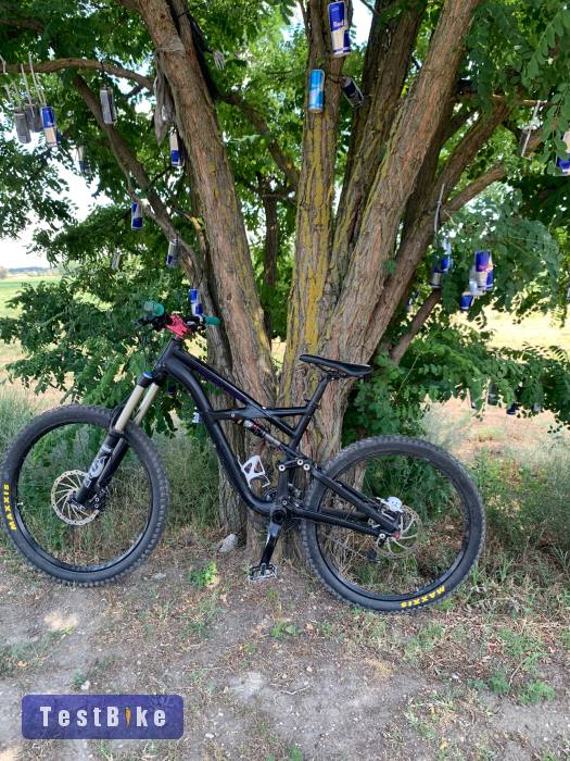 Specialized Enduro Comp