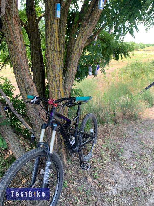 Specialized Enduro Comp