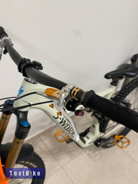 Specialized Enduro L 29”