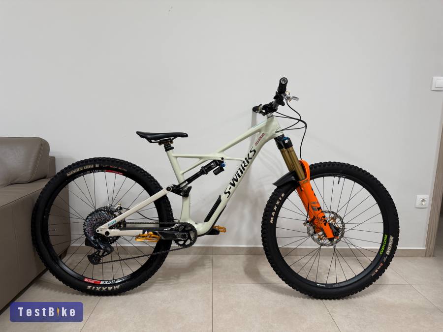 Specialized Enduro L 29”