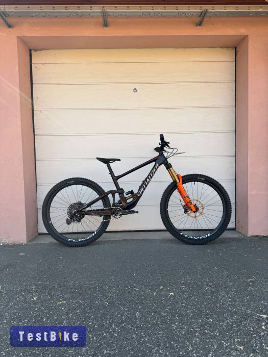 Specialized Enduro S4