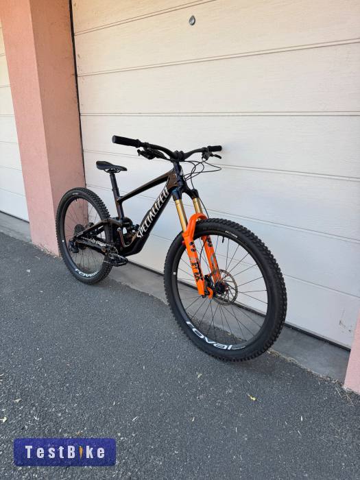 Specialized Enduro S4